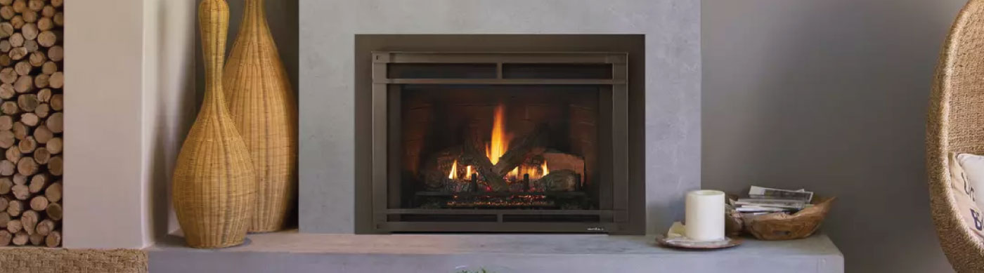 gas fireplace insert