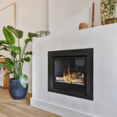 Wood Burning Fireplace Insert.jpg